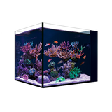 Aquarium