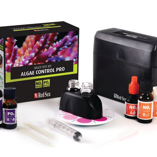 Algenprobleme und ihre Fressfeinde