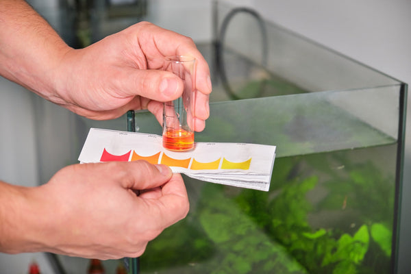 Wasserwerte testen Meerwasseraquarium