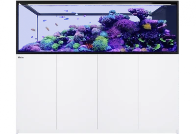 Systemaquarien für das Wohnzimmer