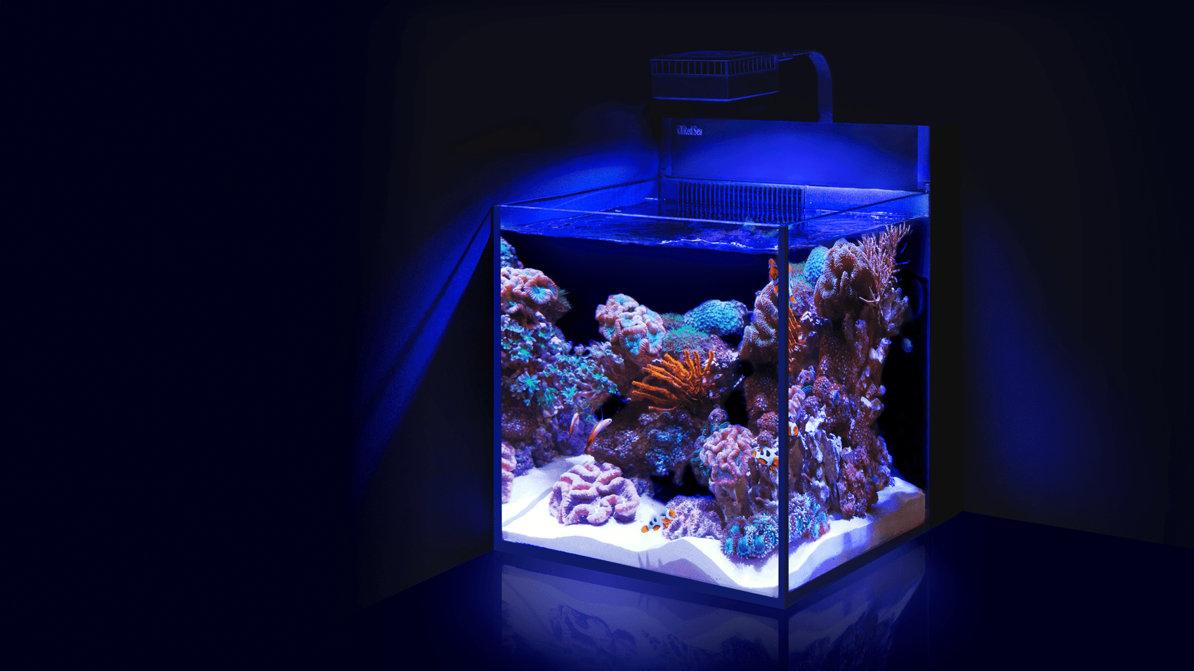 MAX® NANO Peninsula Riffsystem.