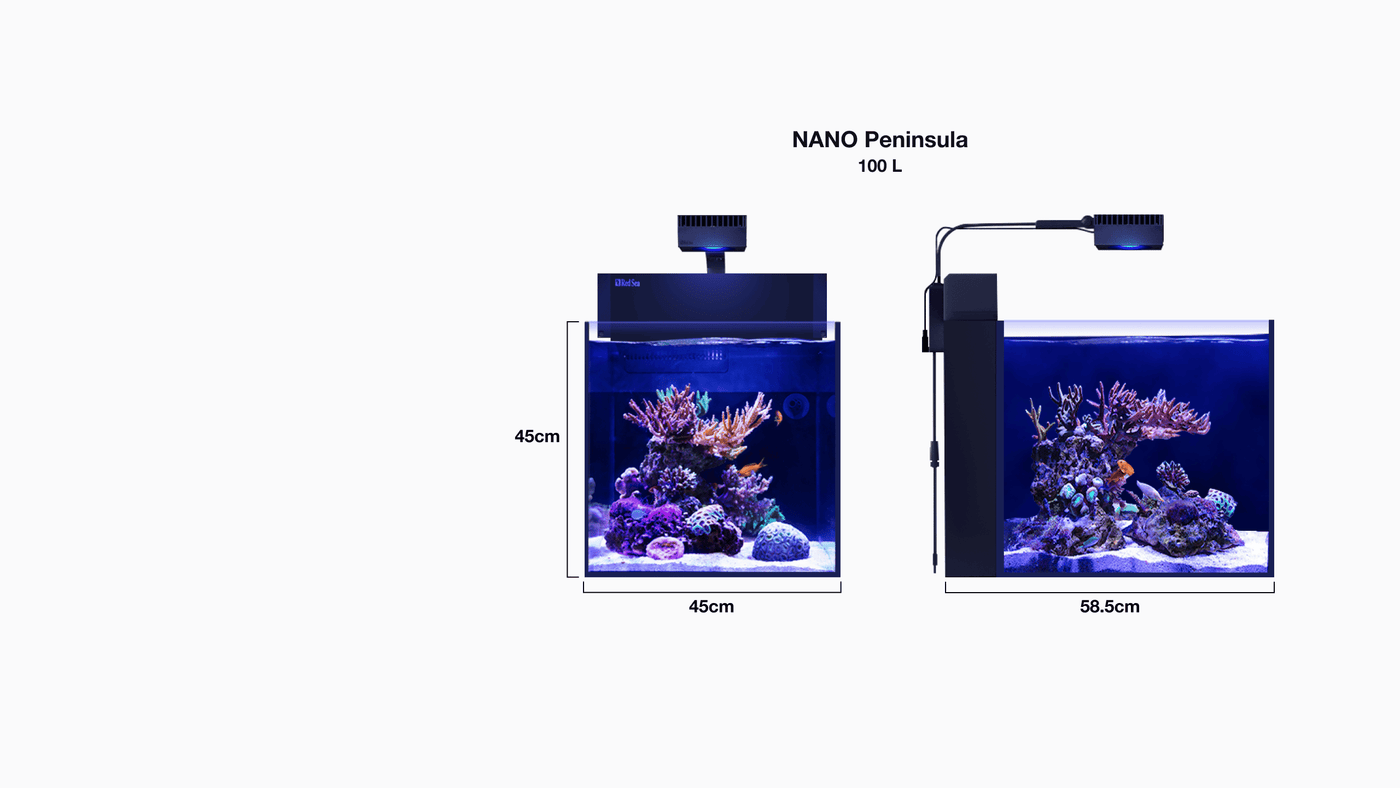 MAX® NANO Cube Riffsystem.