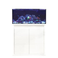 D-D Reef-Pro 900 - Aquarium.