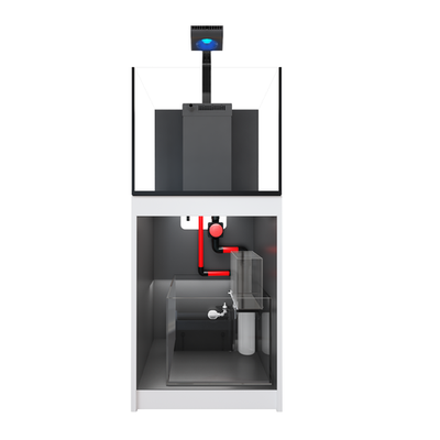 REEFER 200 G2+; 57,5cm - 200 Liter