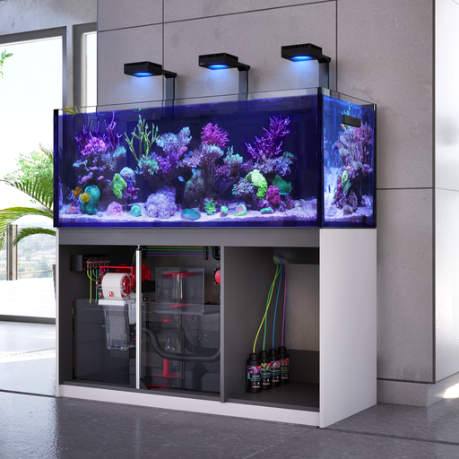 Red Sea Aquarium REEFER 250 G2+, 245 Liter.