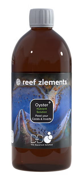 Reef Zlements Oyster+