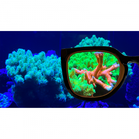 Aqua Medic - Coral Glasses.