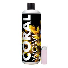 Fauna Marin CORAL WOW