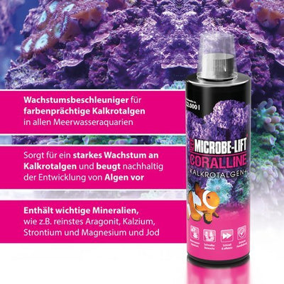 Microbe-Lift Coralline - Kalkrotalgen Wachstum