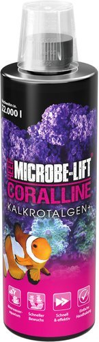 Microbe-Lift Coralline - Kalkrotalgen Wachstum