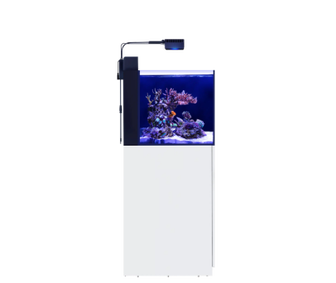 Max Nano G2, Nano Riffsystem mit Reef LED 50