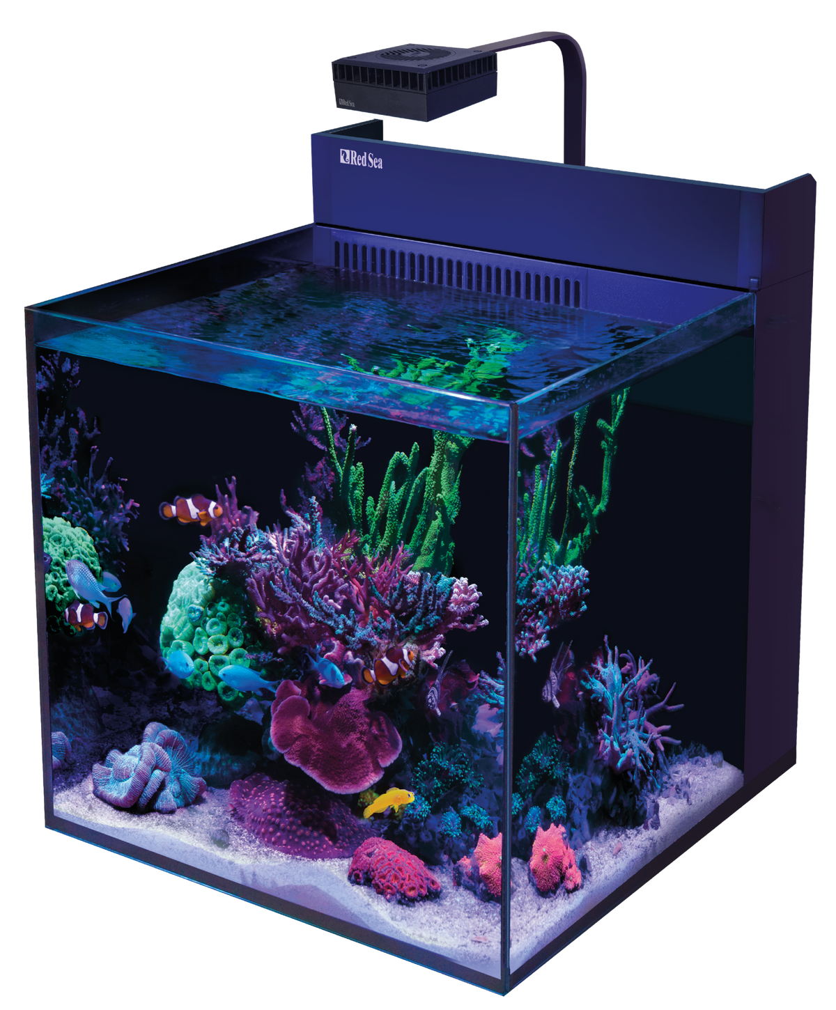 Red Sea MAX Nano G2 XL ohne Unterschrank als Desktop-Meerwasseraquarium