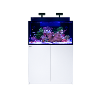 Max Nano G2, Nano Riffsystem mit Reef LED 50