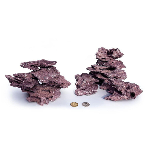 D-D MARCO CORALLINE NANO SHELF ROCK