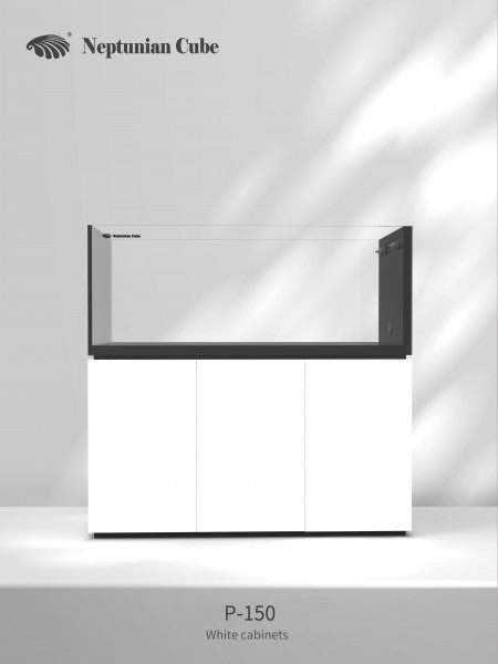 Neptunian Cube P150 Raumteiler-Meerwasseraquarium in Weiß