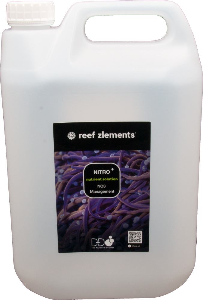 Reef Zlements Nitro+