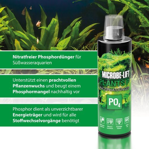 Microbe-Lift Plants P - flüssiger Phosphatdünger für Wasserpflanzen