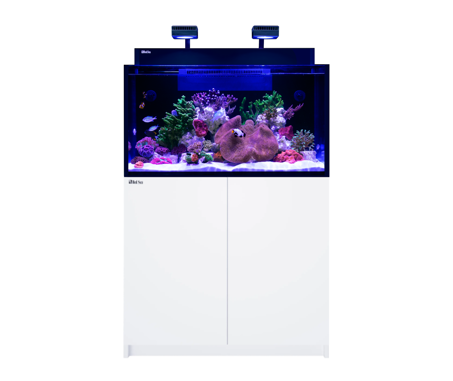 Red Sea MAX® Nano G2 XXL Weiß mit Marine-Spec-Unterschrank, ReefLED G2 60, integriertem REEF-SPEC®-Filtersystem und elegantem Ultra-Clear™ Glas.