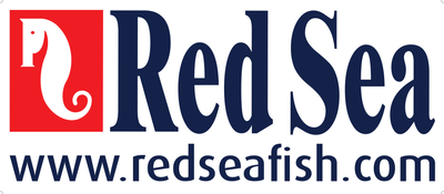 R42342G2, Red Sea Reefer, inneres Fallrohr