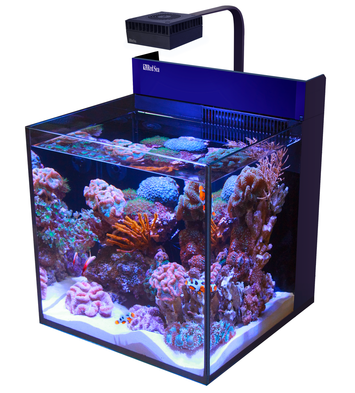 Red Sea MAX Nano Cube G2 ohne Unterschrank als Desktop-Meerwasseraquarium