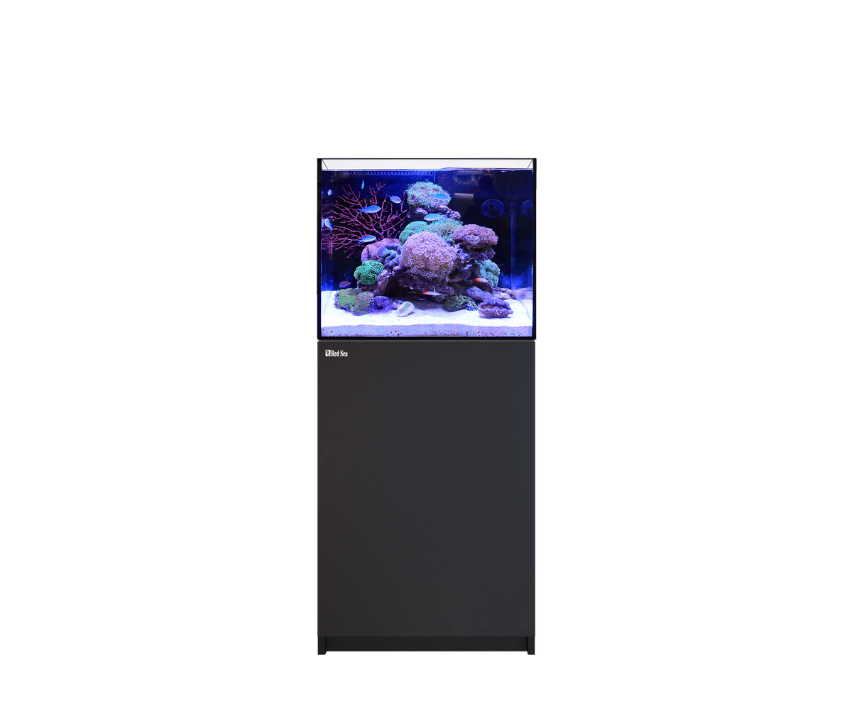 Red Sea REEFER 170 G3 in Schwarz als eingerichtetes Riffaquarium
