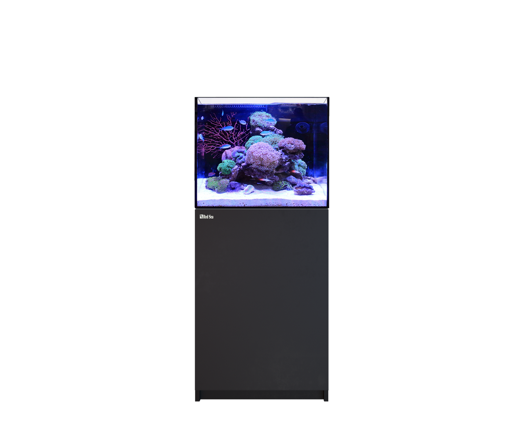 Red Sea REEFER 170 G3 Standard Schwarz R45111 Meerwasseraquarium mit Korallenriff, Fischen und eingerichteter Aquarienlandschaft