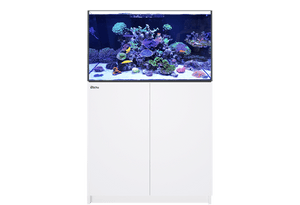 Aquarium RED SEA REEFER 250 G2+, 245 Liter.