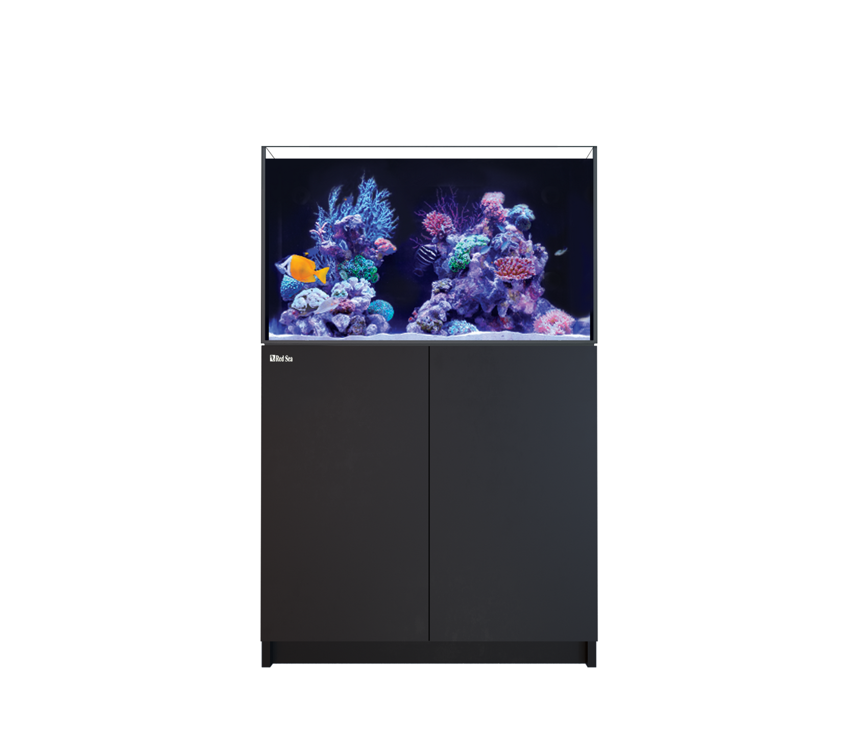Red Sea REEFER™ 350 G3 Standard in Schwarz als Meerwasseraquarium mit farbenprächtigen Korallen, Riffgestein und Meerwasserfischen.