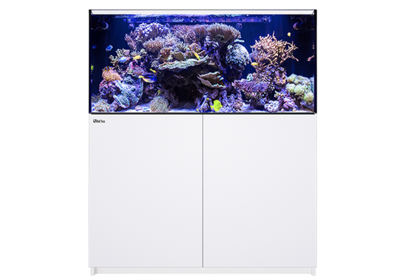 REEFER 425 G2+, 433 Liter.