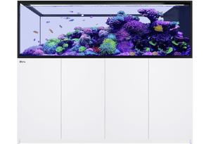 REEFER Peninsula S-950 G2+, 947 Liter.