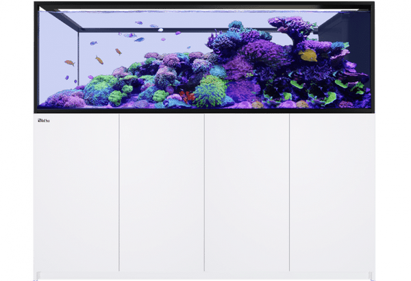 Red Sea REEFER™ Peninsula S-950 G3 Standard Weiß mit großzügiger Rifflandschaft, farbenprächtigen Korallen und Meerwasserfischen – hochwertiges Peninsula-Raumteiler-Aquarium für exklusive Wohnräume.