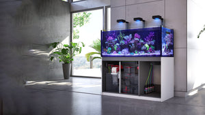 Red Sea REEFER™ G2 Deluxe - incl. Reef Led 160S Beleuchtung incl. Fracht.