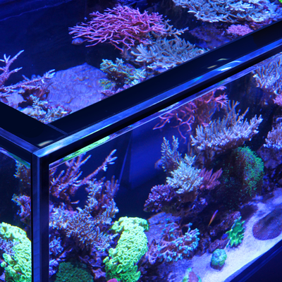 Aquarium Red Sea REEFER S-850 G2+, 850 Liter