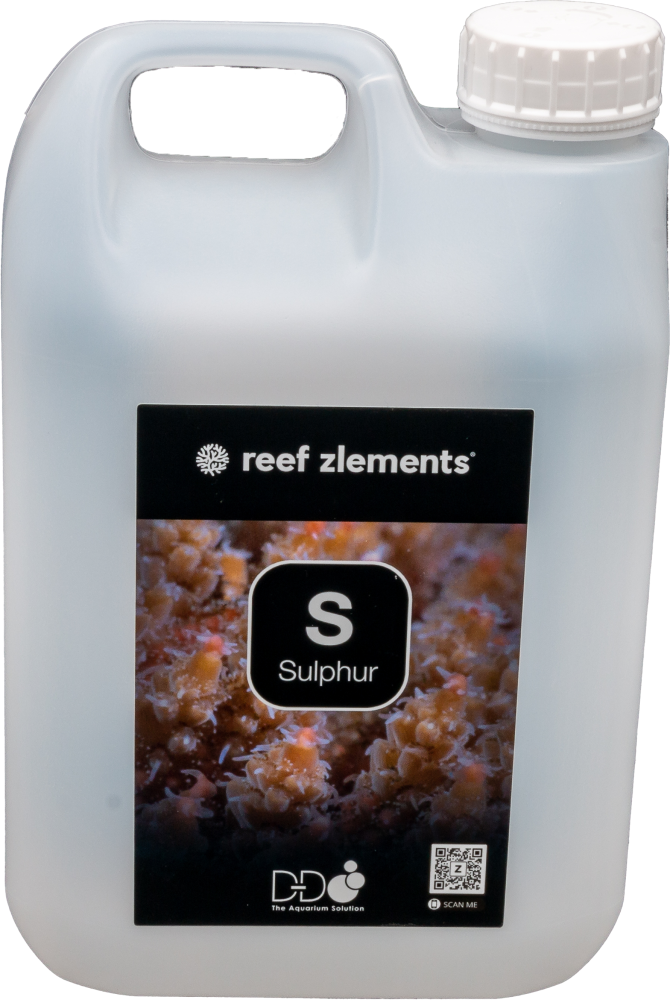 Reef Zlements S Schwefel