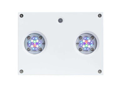 AI Hydra HD 32 LED Meerwasser