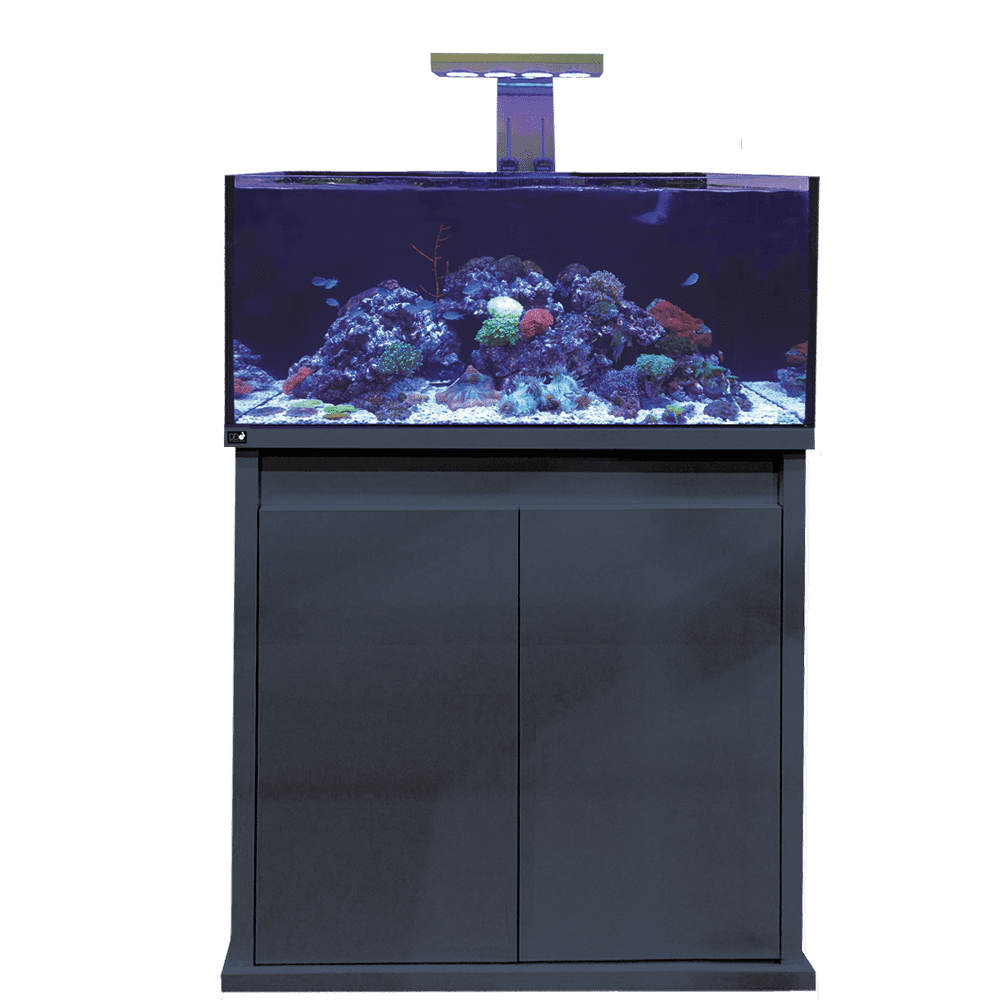 D-D Reef-Pro 900 - Aquarium.