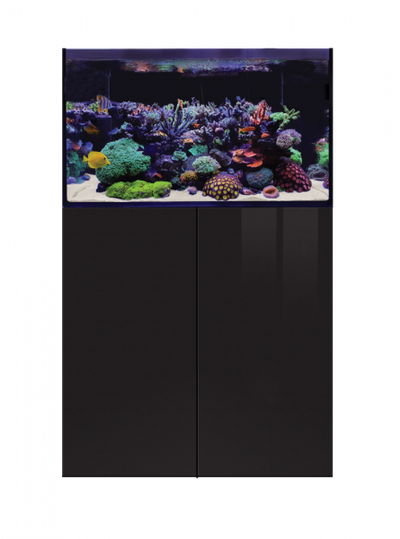 D-D Aqua - Pro Reef - 900 Aquarium.