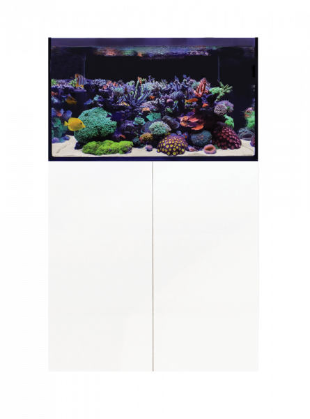 D-D Aqua - Pro Reef - 900 Aquarium.