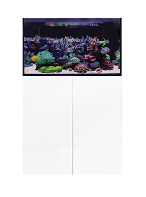 D-D Aqua - Pro Reef - 900 Aquarium.