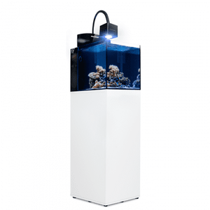 Aquamedic Blenny Qube, 76 Liter.