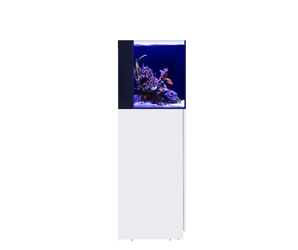 Red Sea Desktop Cube Aquarium mit Unterschrank.
