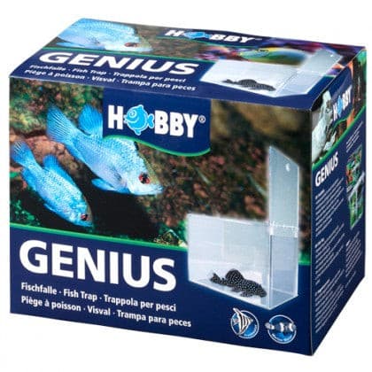 Fischfalle Genius Hobby