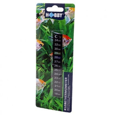 Klebethermometer für Aquarien von Hobby