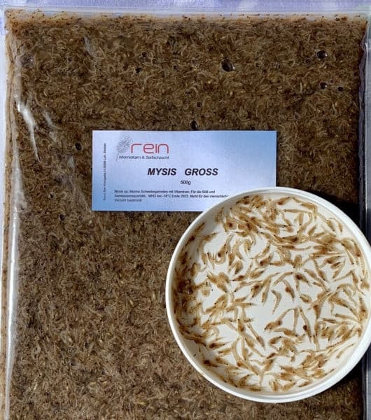 Mysis Schwebegarnelen, Frostfutter für Meerwasserfische. 500 g