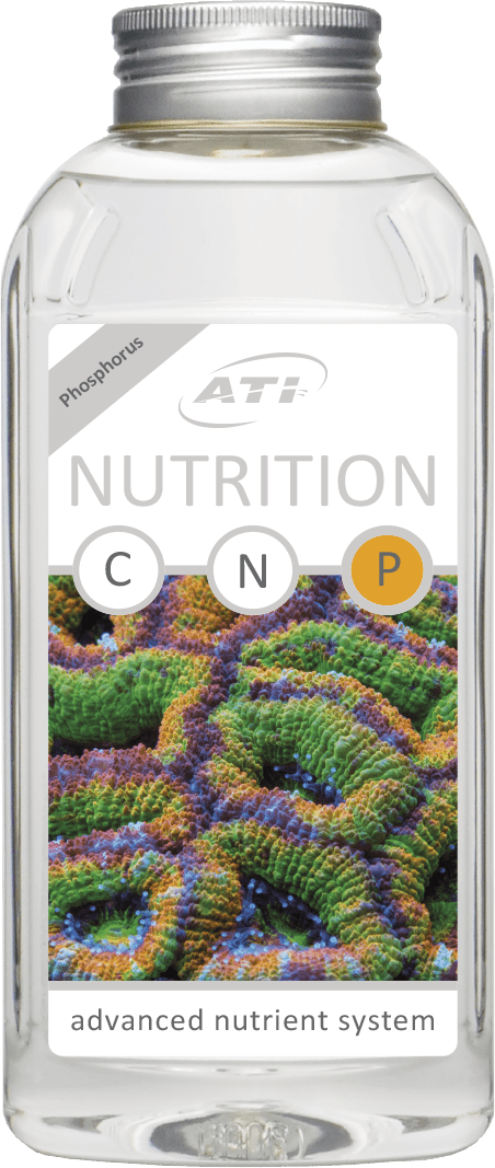 ATI Nutrition P - Phosphorquele