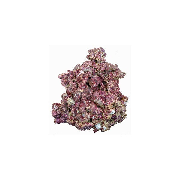 D-D Real Reef Rock 25 kg.