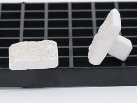 Korallenzucht Ablegersteine quadratisch