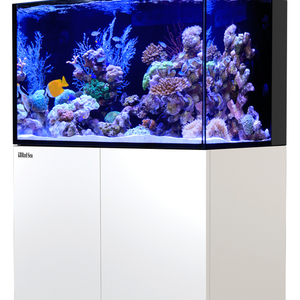 Red Sea Max E Serie E-260.