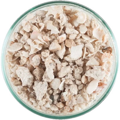CaribSea Florida Crushed Coral, trocken.