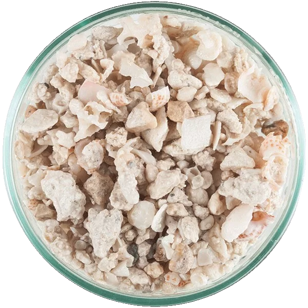 CaribSea Florida Crushed Coral, trocken.